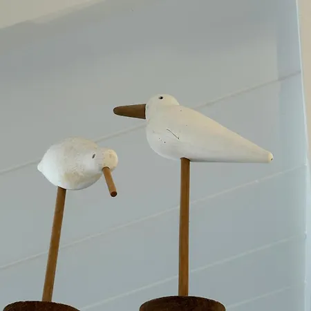 Wenduine Сasa de vacaciones